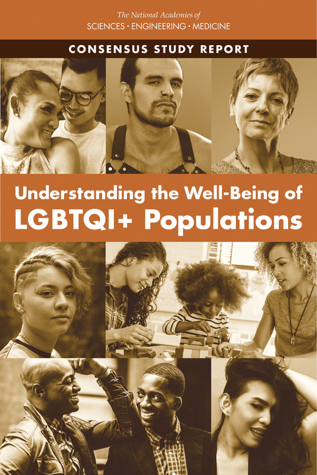 Cover for Understanding the Well-Being of LGBTQI+ Populations