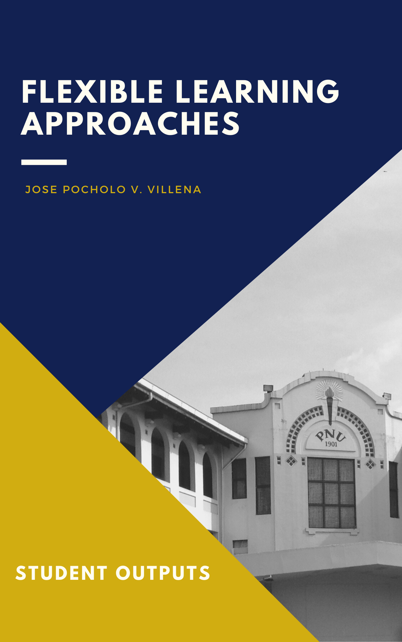 Cover for Flexible Learning Approaches