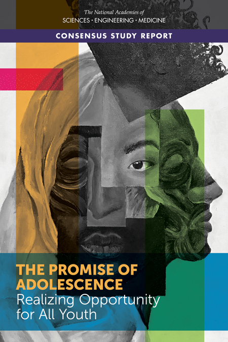Cover for The Promise of Adolescence: Realizing Opportunity for All Youth